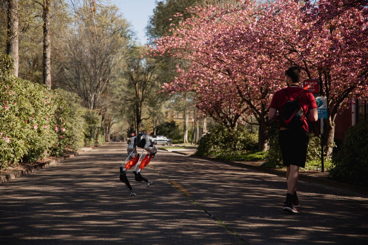 <b>双足机器人卡西使用机器学习完成5公里的慢跑</b>
