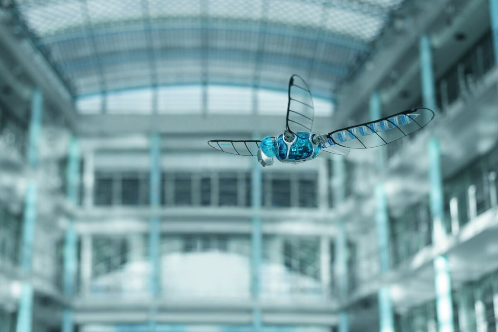 <b>费斯托演示生物蜻蜓机器人</b>