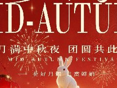 <b>清辉满庭，笑语盈门——智能佳科技</b>